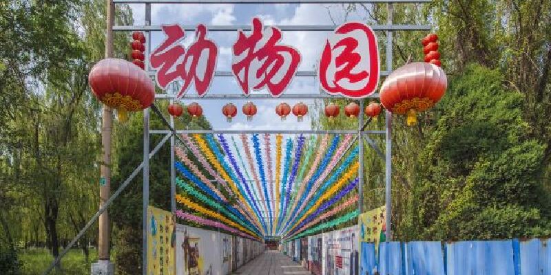 产品图1