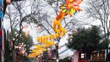 西溪国家湿地公园