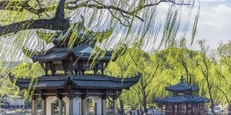 产品图1