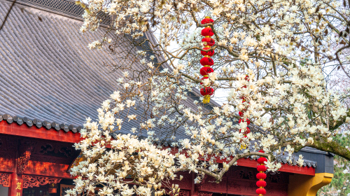 上天竺法喜讲寺