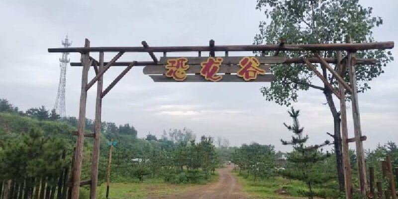 产品图1