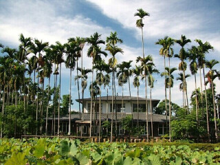 沉潭荷花田陶工房