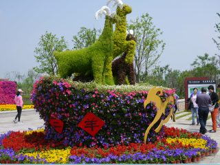 杭州湾海上花田景区