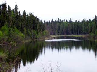 艾伯特王子公园