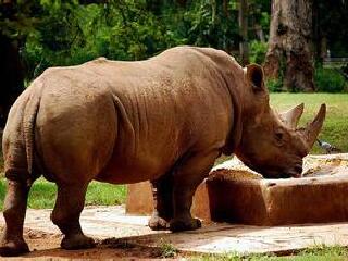 踏缤野生动物保护区