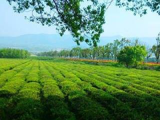 宜兴龙池山自行车公园