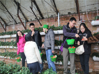 大连真爱草莓园