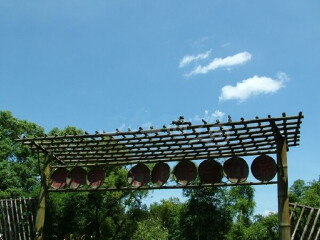 瑞竹竹类标本园