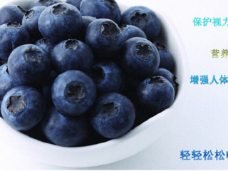 上海蓝莓文化体验园