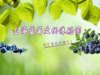 上海蓝莓文化体验园