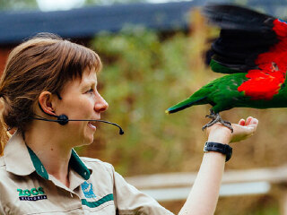 希尔斯维尔野生动物保护区