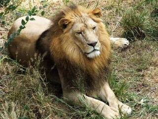 珍珠泉野生动物生态园