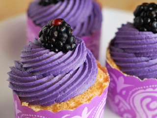 上海蓝莓文化体验园