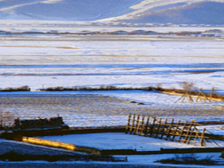 香格里拉纳帕海依拉草原