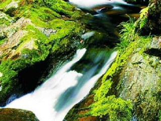 三道门森林公园