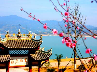 宜昌旅游景点 三峡观坝旅游攻略 公交 宜昌市内乘坐10路公交车可直达