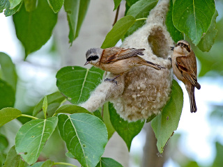 鼎翔生态旅游区