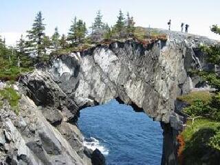 纽芬兰和拉布拉多