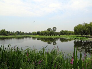 苏州阳澄湖半岛度假区