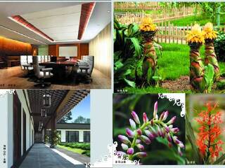 莱芜雪野农博园