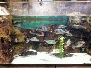 常熟海星岛乐园