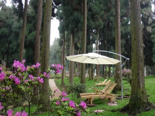 修理山森林浴场