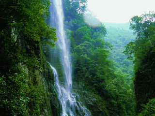 重庆万盛黑山谷生态旅游区