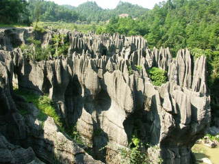 重庆万盛黑山谷生态旅游区