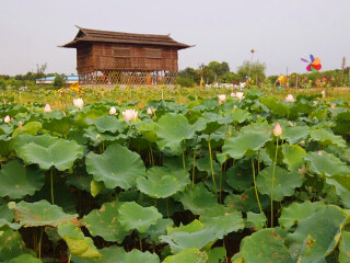 中山黄圃海蚀遗址旅游区