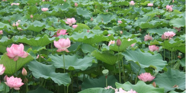 亮点图片