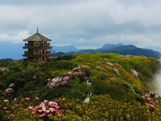 金佛山