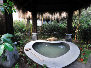 湖州雷迪森天沐温泉