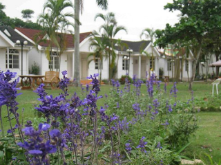 九层岭休闲农场