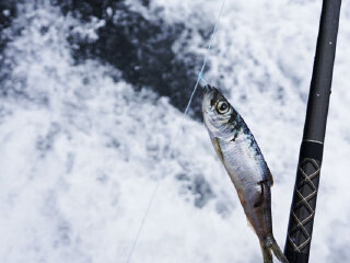 美国纽波特深海垂钓