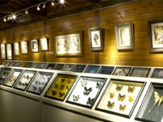 富源蝴蝶谷温泉渡假村