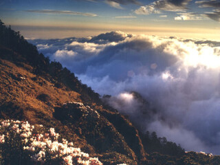 合欢山森林游乐区