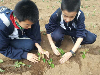 北京亲农耕农业体验园