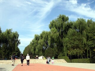 北京青龙湖公园