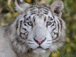 跑马岭野生动物世界