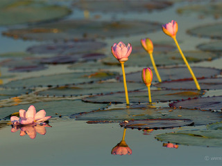 玛丽河国家公园