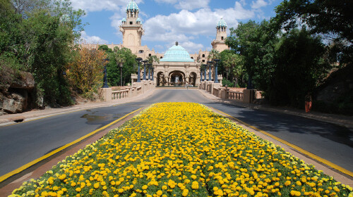 [春节] 无条件狂降1001 南非-迪拜-阿布扎比10日游>比邻斯堡动物园