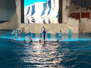 苏梅岛动物表演场