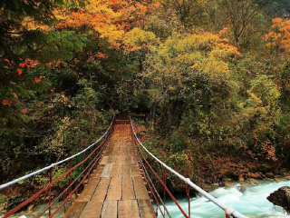 东拉山大峡谷风景区