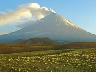 彼得罗巴甫洛夫斯克