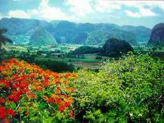 比尼亚莱斯山谷