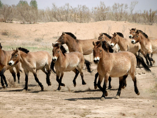西宁野生动物园