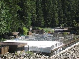 卡皮兰诺鲑鱼孵化场