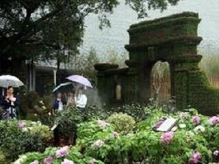 上海野生动物园蝴蝶园