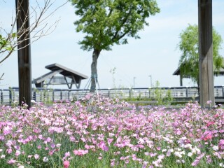 苏州阳澄湖半岛度假区