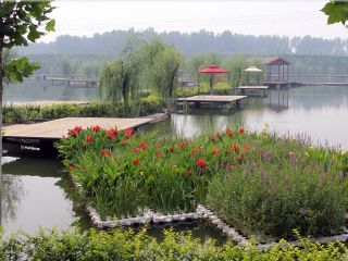 北京芦西园体验观光园